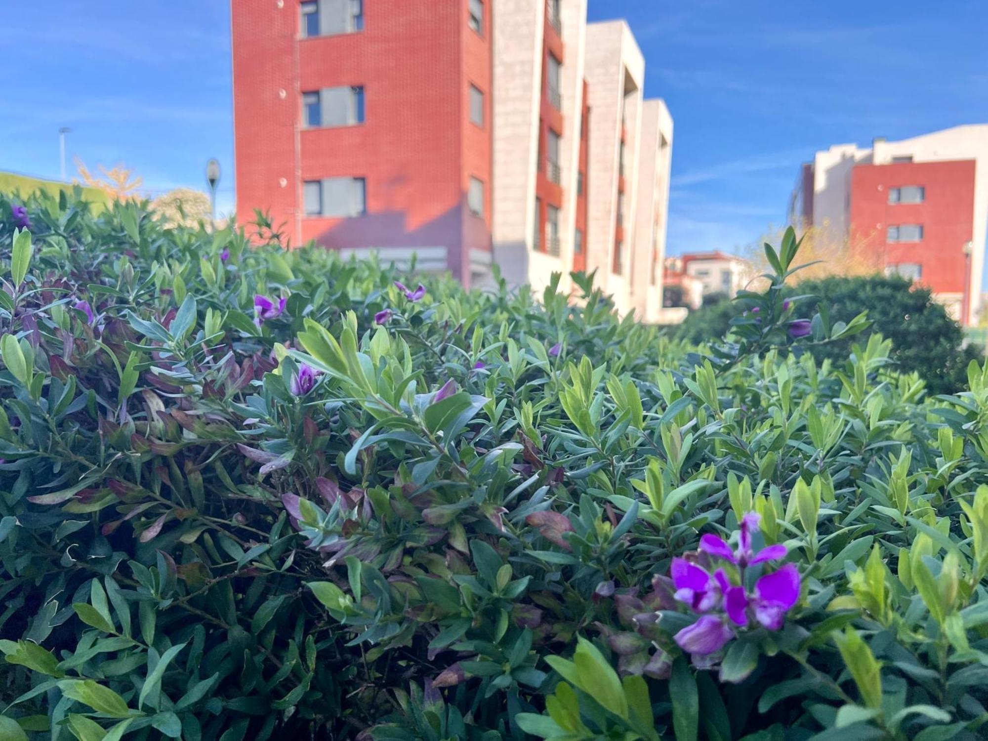 Apartamento Olmeca Santander Bagian luar foto